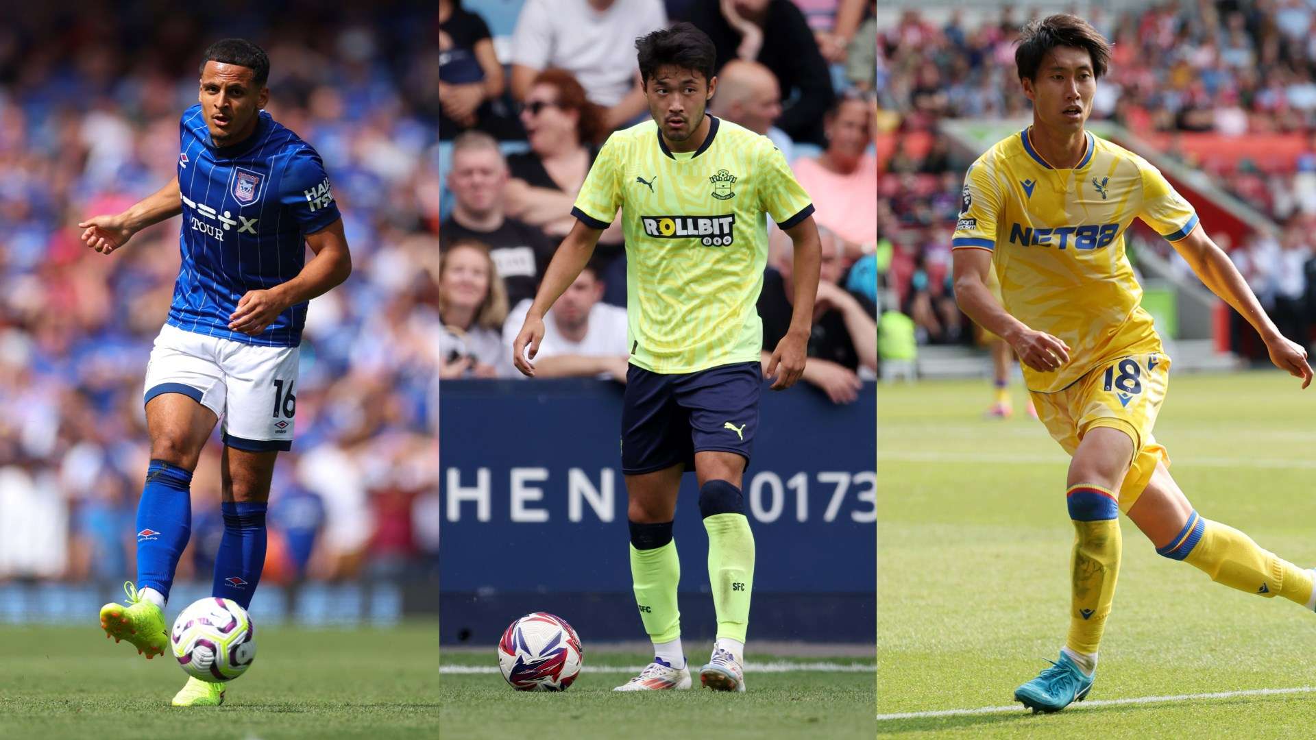 球迷经历了 球迷经历了